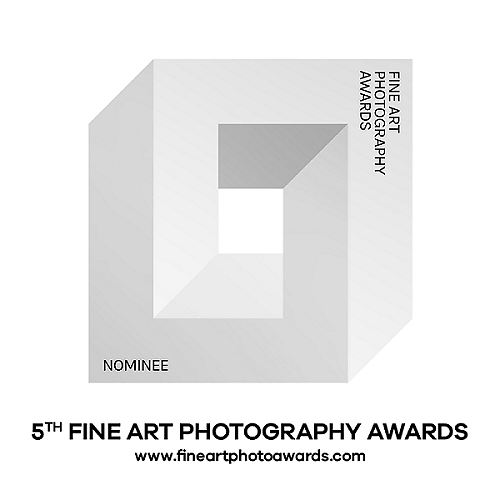 exhibitions and awards